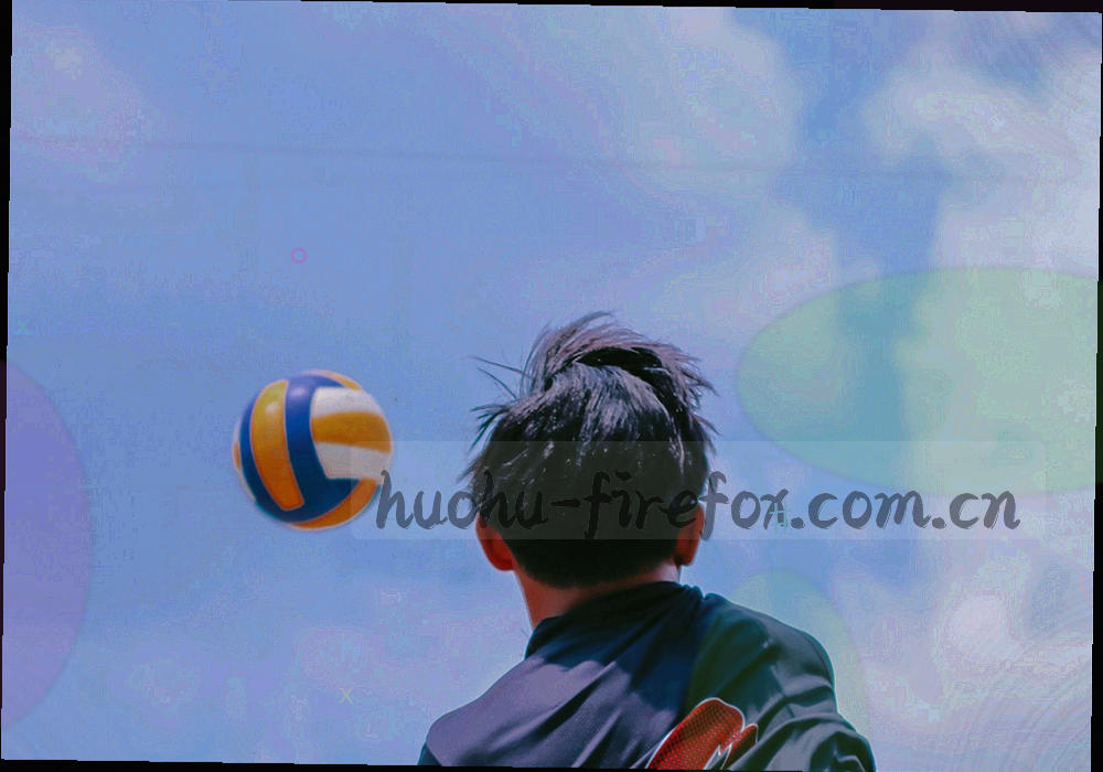 四叠错位摆放的纸质标签在深色桌面上排开，边缘带印刷裁切线